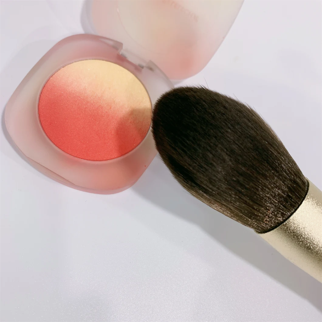 11 PCS Cosmetic Brush Set Includes Powder Brush Foundation Brush Eye Brush Lip Brush